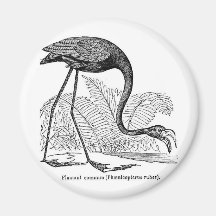 Aimant vintage de réfrigérateur de flamant