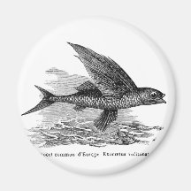 Aimant vintage de réfrigérateur de poissons de vol