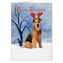 airedale de kaart van terriërKerstmis - airedale h