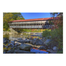 Albany behandelde brug over Vlugge Witte Rivier, Fotoprints
