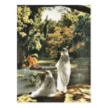 Algier, d'essai de Jardin Cartes Postales