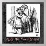Alice in Sprookjesland 11 Poster