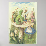 Alice Meets Caterpillar Plaat