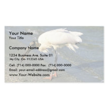 Alimentations de cigogne en bois sur le rivage cartes de visite professionnelles