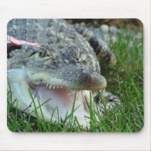 Alligator avec la bouche Mousepad ouvert Tapis De Souris