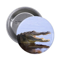 Alligator Badges Avec Agrafe