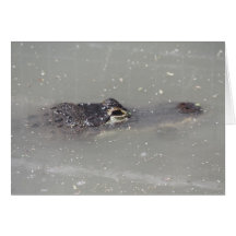 Alligator Carte De Vœux