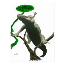 alligator cartes postales