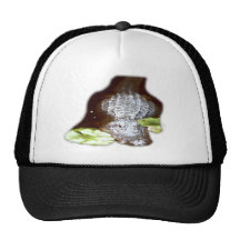 Alligator Casquette