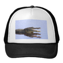 Alligator Casquette De Camionneur