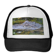Alligator Casquettes De Camionneur