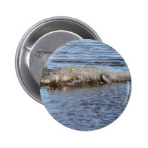 Alligator d'alligator dans l'eau badge avec épingle
