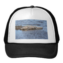 Alligator d'alligator dans l'eau casquette de camionneur