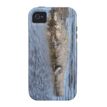 Alligator d'alligator dans l'eau iPhone 4 case