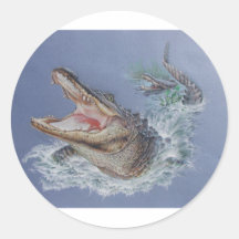 Alligator de la Floride Adhésifs