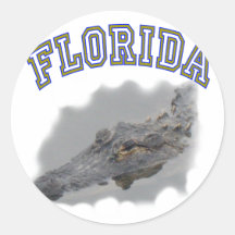 Alligator de la Floride Autocollant
