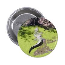Alligator de la Floride Badge Avec Épingle