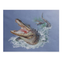 Alligator de la Floride Carte Postale