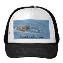 Alligator de la Floride Casquette