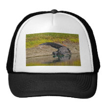 Alligator exposant au soleil sur la banque d'un ét casquettes de camionneur