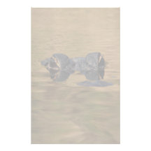 alligator papiers à lettres