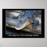 Alligator plein d'espoir poster