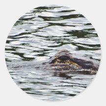 Alligators Autocollants
