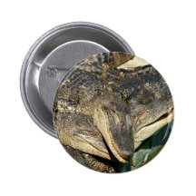 Alligators câlins badges avec agrafe