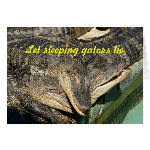 Alligators câlins carte de vœux