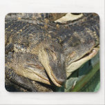 Alligators câlins tapis de souris