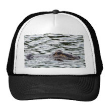Alligators Casquettes De Camionneur