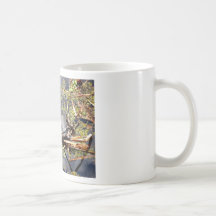 Alligators de bébé tasse à café