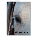 Allo carte de voeux de cheval