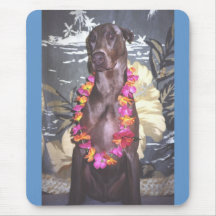 Aloha Shane Tapis De Souris