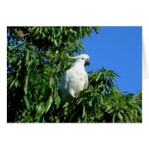 Amandes pour le petit déjeuner carte de vœux