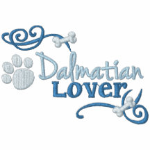 Amant dalmatien