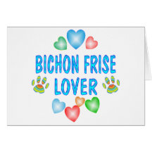 AMANT DE BICHON CARTES