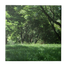 AMANTS DE LA NATURE CARREAU