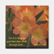 Amaryllis orange aimant