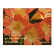 Amaryllis orange carte postale
