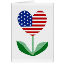 AMERIKA WENSKAARTEN