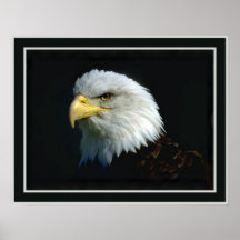 Amerikaans Kaal Eagle Afdruk