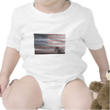 Amerikaans Landschap Tshirts