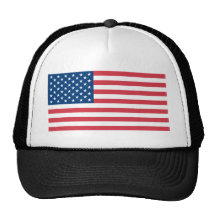 Amerikaanse Vlag Pet Met Netje