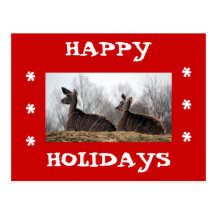 Ami de cerfs communs, bonnes fêtes cartes postales