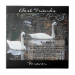 Amis Cygne-Vrais, pour toujours, meilleurs amis Carreau En Céramique