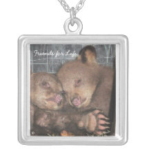 Amis pour le collier de la vie