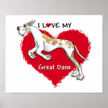 Amour Brindlequin great dane Affiches