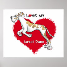 Amour Brindlequin great dane UC Affiche