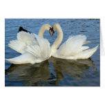 Amour chaperonné de coeur de cygne cartes de vœux